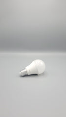 13 Watt Bulb