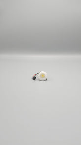 1 Watt Drop Light 1"