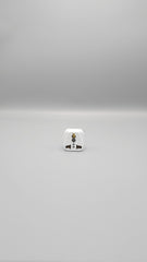 2-Pin Mobile Multi-plug adapter