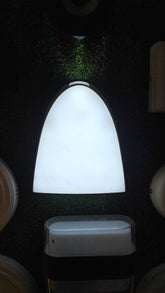 20 Watt Bulkhead Outdoor Light