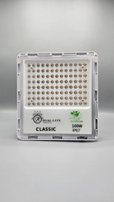 100 Watt Floodlight