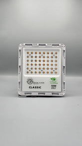 50 Watt Street Light