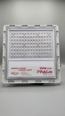 100 Watt Floodlight