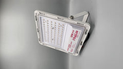 50 Watt Floodlight