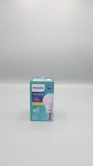 13 Watt Bulb