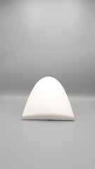 20 Watt Bulkhead Outdoor Light