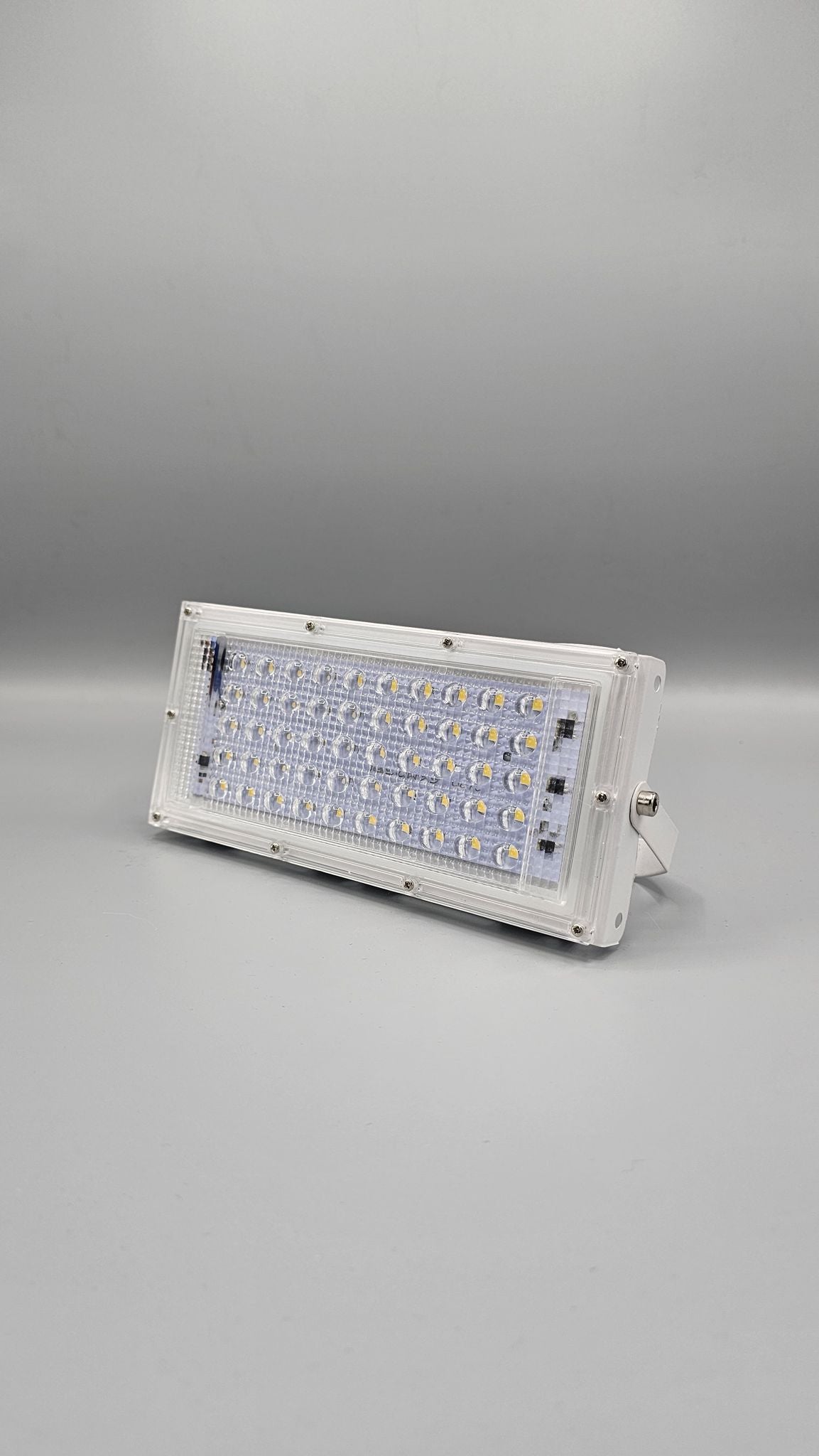 100 Watt Floodlight
