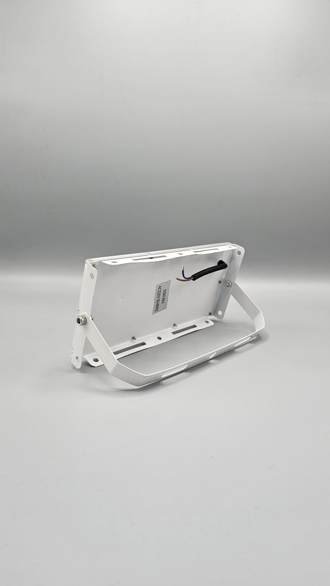 100 Watt Floodlight