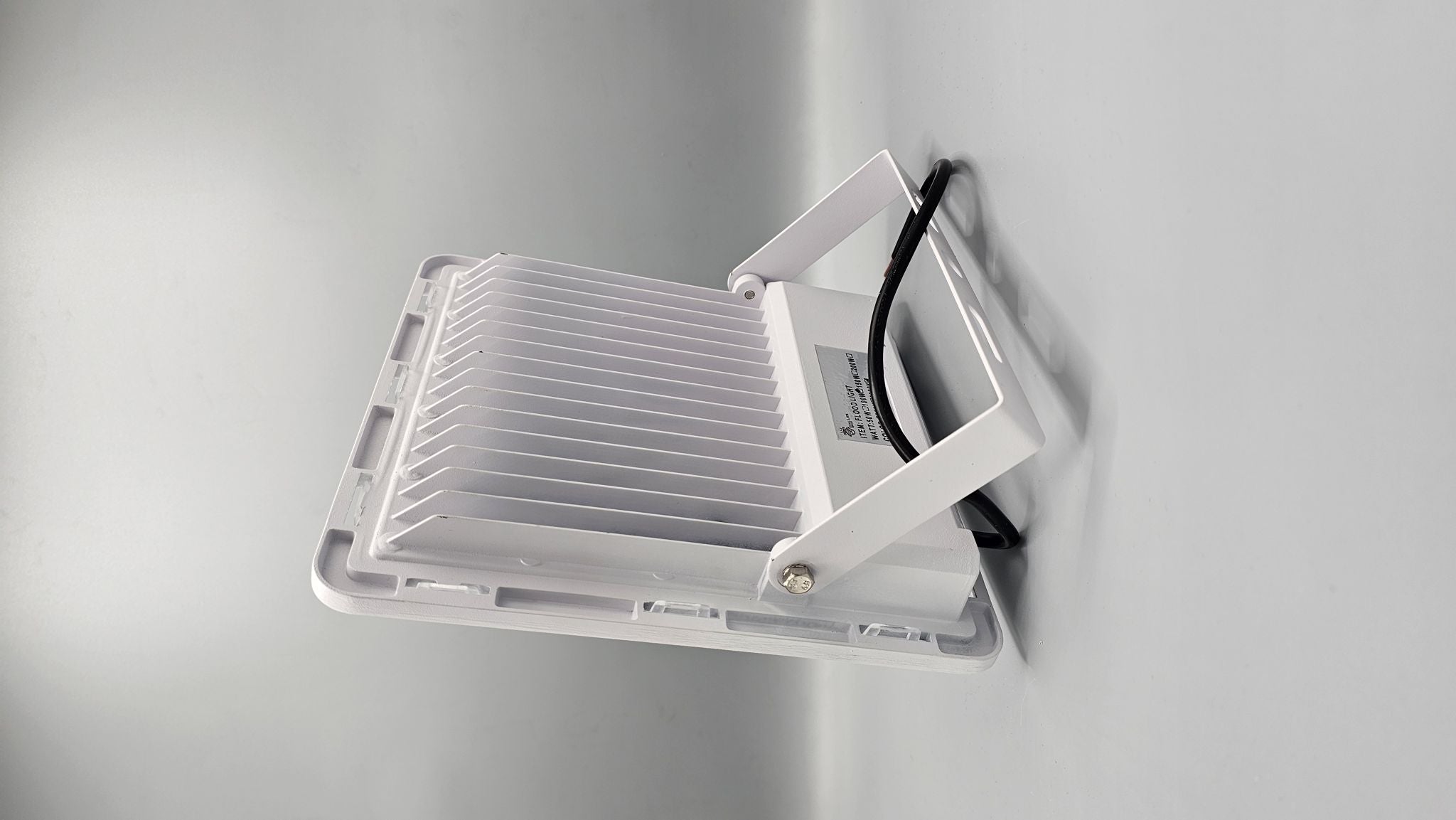 100 Watt Floodlight