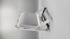 100 Watt Floodlight