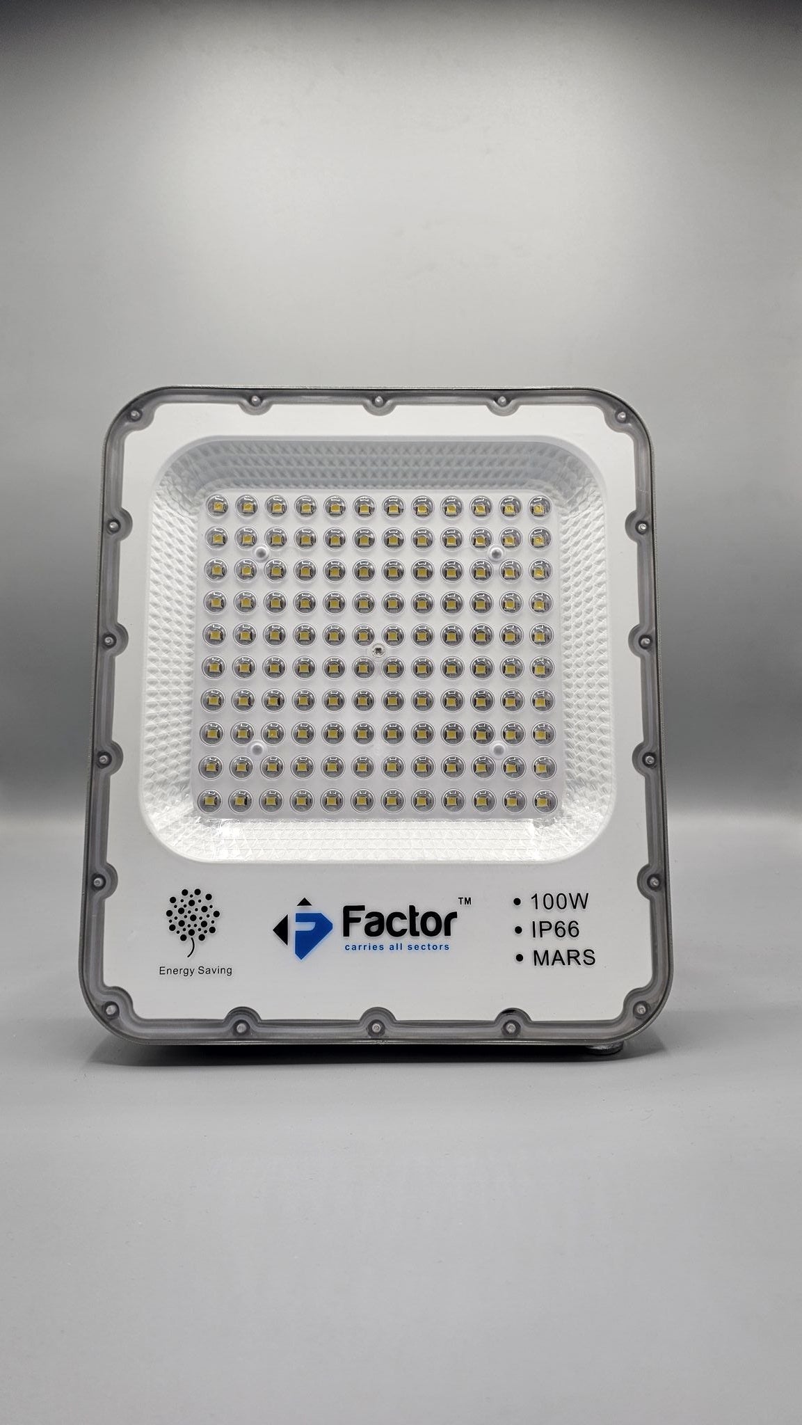 100 Watt Floodlight