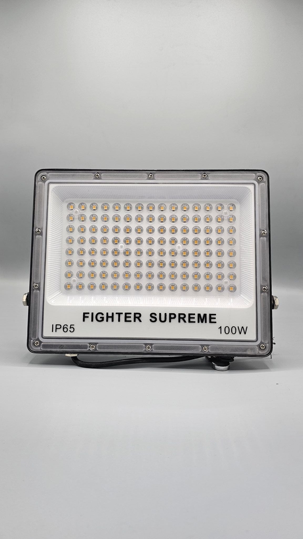 100 Watt Floodlight