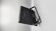 100 Watt Floodlight